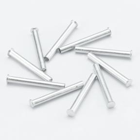 不銹鋼平頭中空鉚釘DS-SQP-DCC-131